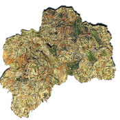 ** Northern Lights  32% THC | Sale 50% only $110/oz