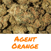 70$ Agent Orange AAA+(2 for 110$)