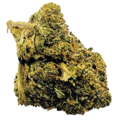 ATOMIC up to 26% - Special Price $100 oz!