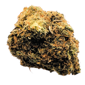 BROWNIE SCOUT up to 38% THC - Special Price $115 oz!