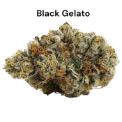 ** Black Gelato (AAA) 27%THC | 50%OFF = $90 OZ