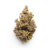 ** Blue Pancakes (Hybrid-29% THC) AA+|1oz = $120 or Super Deal 2oz = $200+Gift