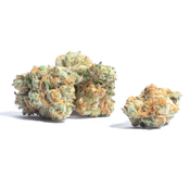 ** Blue Jay (Sativa - 34% THC) 5A | 1oz = $180 or Super deal 2oz = $280+Gift