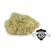 Pink Gelato