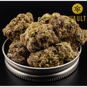        AAAA+ | Pink Quake | 2 OZs For 250$ *SALE*