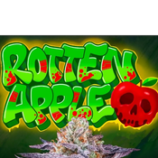 $50 ONSALE!!  -    Rotten Apple 🍎