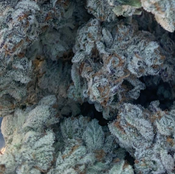 Rainbow Kush smalls 65$Oz 2For120$