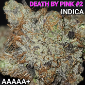 $ BEST  8â­� DEATH BY PINK #2 (BEST KUSHY INDICA ON MENU)