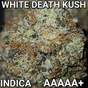 $ BEST NEW 8â­� WHITE DEATH KUSH (VERY STRONG FRESH INDICA) AAAAA+ ($160 OUNCE SALE) REG $390