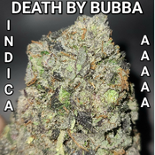 $ FRESH  8â­� DEATH BY BUBBA (FROM THE GROWERS OF DEATH BY PINK) $160 PER OUNCE ( REG $400)