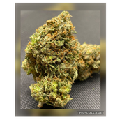 Gas Chapo