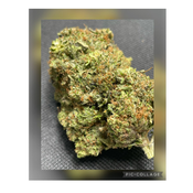 Pink Tuna