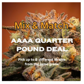 AAAA Mix & Match QP