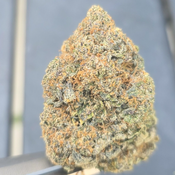 Blueberry Trainwreck AAAA+