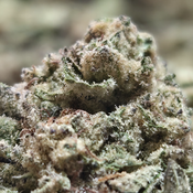 (NEW) OG Valley 🔥 ($65/oz) 🔥  thumbnail 4