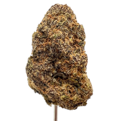 Golden Goat