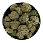 BC #36