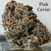 *New Quads* Pink Caviar (AAAA+) 32%THC - 50%OFF = $165 OZ