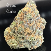 *NEW* Grease Gusher | AAA+|30%THC| BUY 1 GET 1 FREE $185 +7g gift