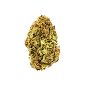 GELATO