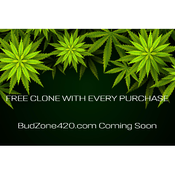 Free Clone with Every Purchase Over $25