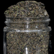 Shake.25$ oz.100$ for 5 oz