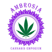 Ambrosia Cannabis