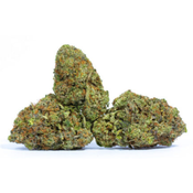 Big Bud (AAAA)