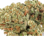 LINDSEY PINK AAAA $100/OZ thumbnail 1