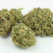 CAVIAR GOLD thumbnail 1