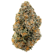 1964 – Organic Gelato #41 – Hybrid – 3.5g