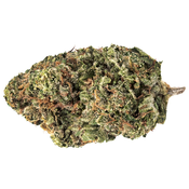 7ACRES – Jack Haze – Sativa – 3.5g