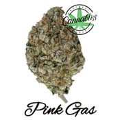 Pink Gas | AAAA+ | THC Level 26-27%| Indica