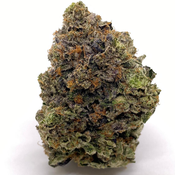 (5 STAR) MIKE TYSON OG