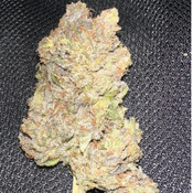 LSO BC pink ROSAY sticky weed