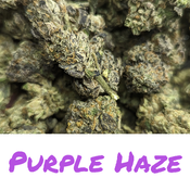 Purple Haze AAAA+ *sativa*  💜(125$oz)