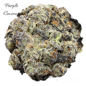 * Purple Coconut (AAAA+) 32%THC - 50%OFF = $180 OZ