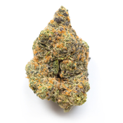 Bruce Banner [AAAAA] [F315]