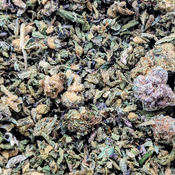 !! SHAKE - PREMIUM - BURN GRADE *** $30 / oz ***