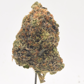 Pink Gas