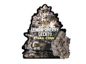 Lemon cherry Gelato 3.5g