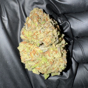 Blueberry King • Hybrid • 23–27% THC • 1 OZ $50 • 2 OZ $80 • 3 OZ $120 • 4 OZ $145 thumbnail 2