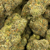Fire Crotch (Premium Value) - 3oz @ $160, 4oz @ $200 thumbnail 1