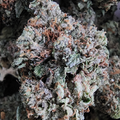 PINK COMA AAAA 140OZ 2FOR260 4FOR500 8FOR980