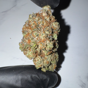 Pink Star | 24-27% THC | BALANCED HYBRID | $85 OZ | $150 / 2 OZ thumbnail 2