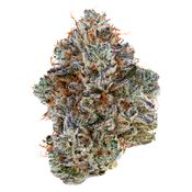 Neon Sunshine 3.5g <br>Hybrid <br>29.9% | 2.90% Terps