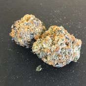 PURPLE PUNCH