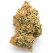 $50 OZ - Ice Cream 
