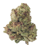 BC (AAA) GOLDBERRY