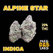 ALPINE STAR - INDICA🔥🔥🔥🔥🔥